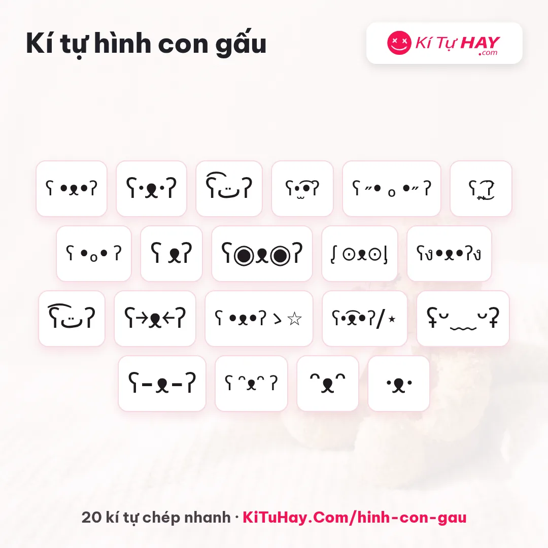 Kí tự hình con gấu 🧸 mặt gấu cute 2026